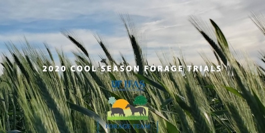 2020 Cool Season Forage Trials