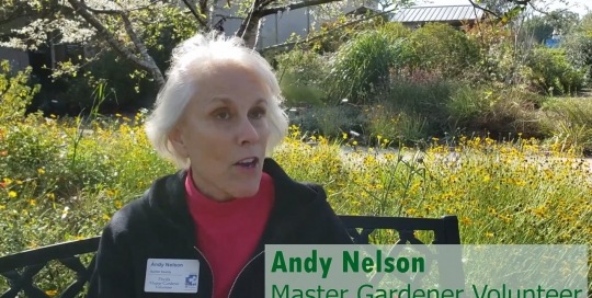 Master Gardener Volunteer - Andy Nelson