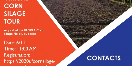 Virtual Corn Silage Tour